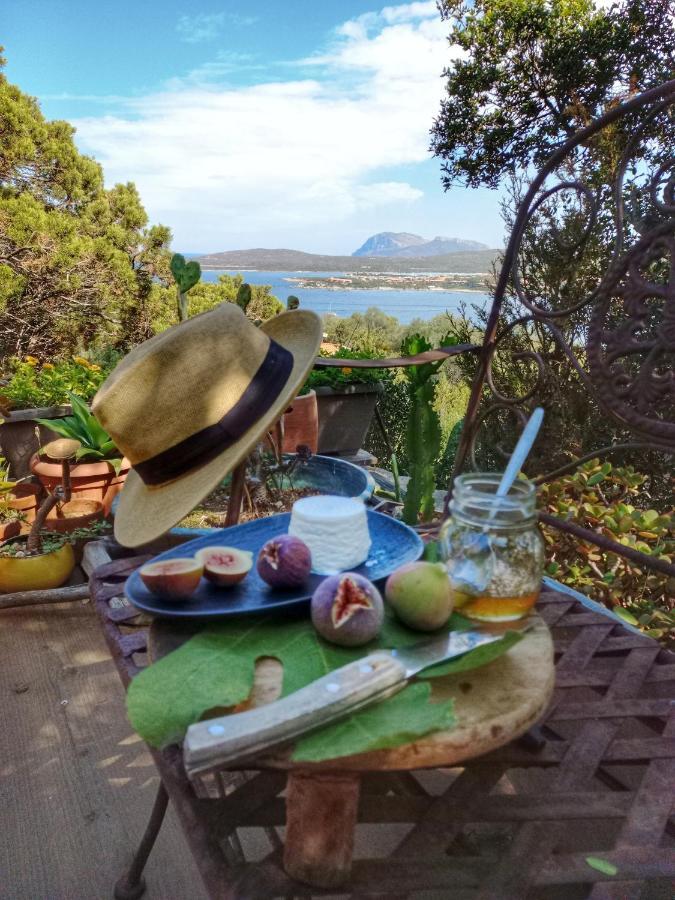 Villa Khepri Porto Rotondo Eksteriør bilde