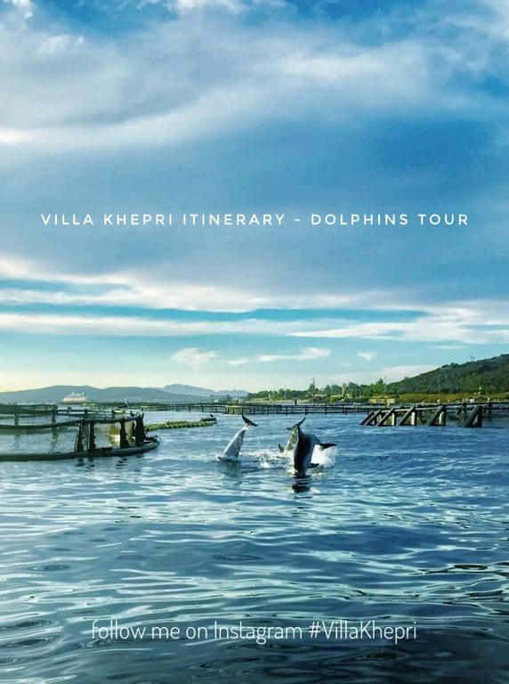 Villa Khepri Porto Rotondo Eksteriør bilde